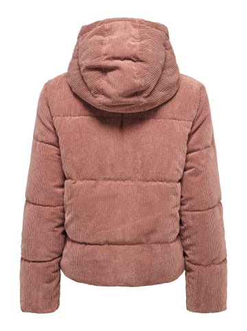JDY Cordjacke in Russet