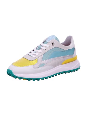 Floris van Bommel Sneaker Low in Grün