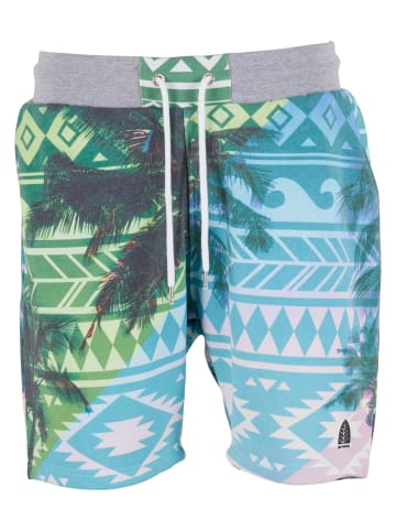 Just Rhyse Just Rhyse Shorts in green colored
