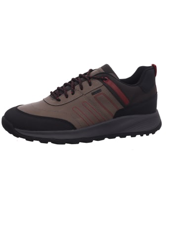 Geox Sneaker in grau