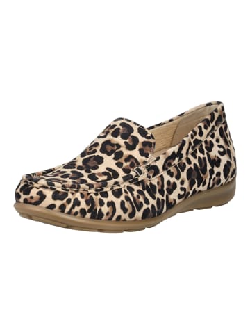 Gabor Slipper in Leopard