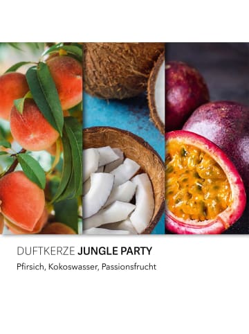 Haribo Haribo™ 3er Duftkerzen-Geschenkset "Island Mix"