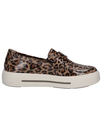 Caprice Sneaker in LEO BEIGE