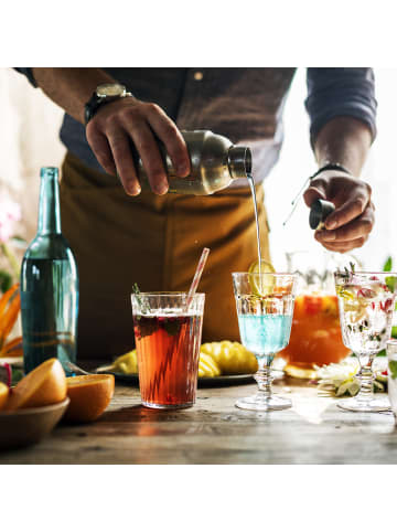 relaxdays 2x Cocktailset 5-teilig in Silber