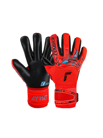 Reusch Torwarthandschuhe Attrakt Duo in 3333  brig red/futr blu/blck