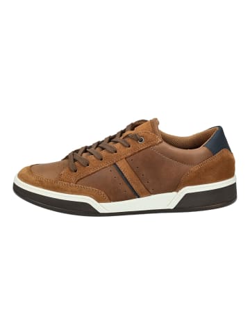 Imac Sneaker Braun/Blau