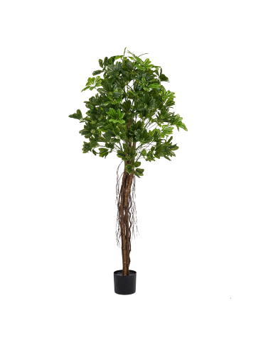 Beliani Kunstpflanze UMBRELLA TREE in Grün - (W) 70 x (H) 175 x (L) 70 cm