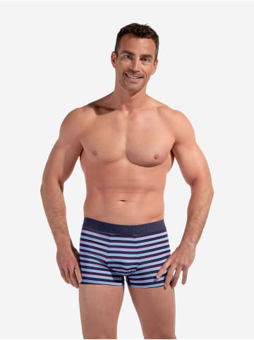 HOM Retro Boxer Boxer Briefs Atlantic in blue stripes