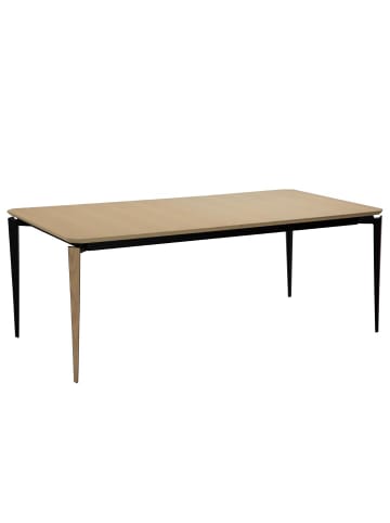 ebuy24 Esstisch Edge Eiche 100 x 200 cm