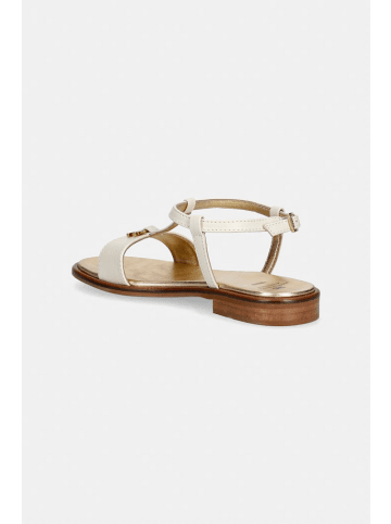 Elisabetta Franchi Sneaker 10658984001878 Creme