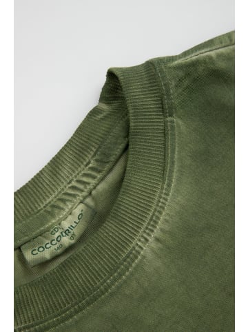 Coccodrillo Baumwoll-T-Shirt mit kurzen Ärmeln in khaki