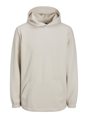Jack & Jones Kapuzenpullover in Moonbeam