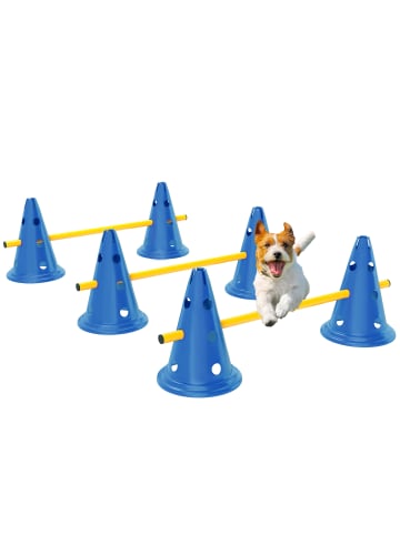 Pawhut Hunde 6-teiliges Agility Blau Kunststoff
