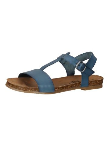 Cosmos Comfort Sandalen in Blau