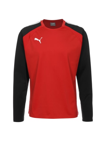 Puma Sweatshirt TeamLIGA in rot / schwarz