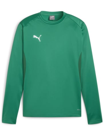 Puma Pullover "TeamGoal Training Sweat" in Grün
