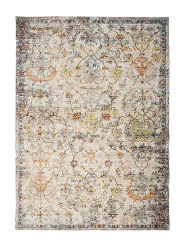 Vivorum Wohnzimmer Kurzflor Teppich Blazing Star 925 in multi