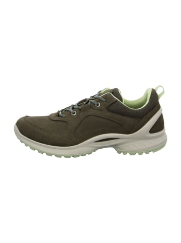 Ecco Wander- & Bergschuhe in Braun