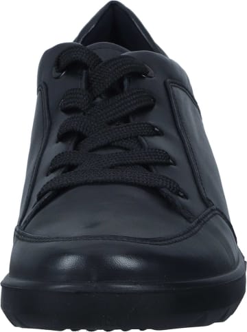 Ara Shoes Schnürschuhe in schwarz