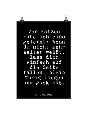 Mr. & Mrs. Panda Poster Von Katzen habe ich... mit Spruch in Schwarz