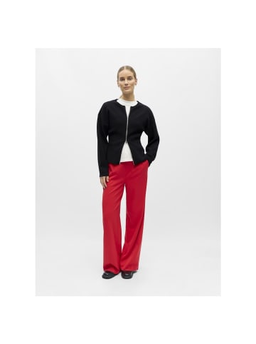 Object Hose in poinsettia