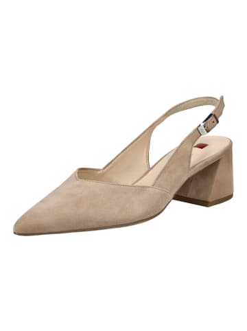 Högl Pumps in Taupe