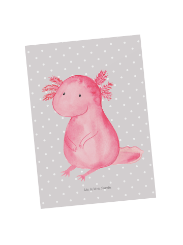 Mr. & Mrs. Panda Grußkarte Axolotl Niedlich ohne Spruch in Grau Pastell