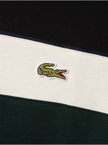 Lacoste Shirt in schwarz mehrfarbig