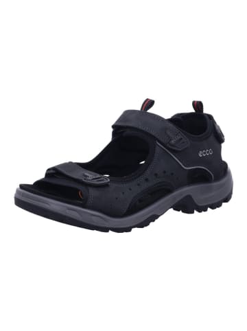 Ecco Outdoorschuh in schwarz