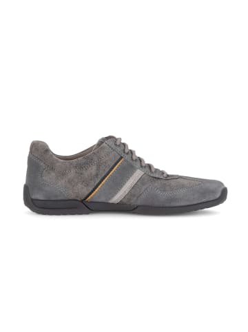 Gabor Sneaker low in grau