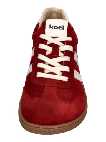 KOEL Sneaker Low FRANCIE II SUEDE in rot