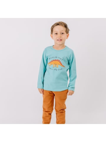 Walkiddy Langarmshirt Dinasaur World-Shirt