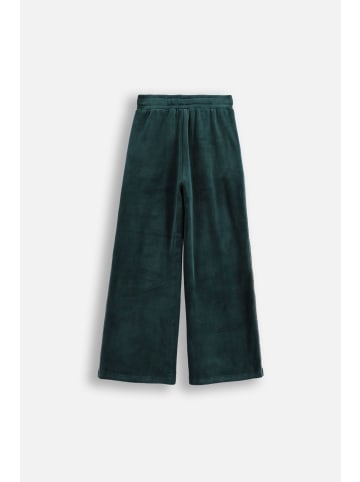 Coccodrillo Velourhose mit langem Hosenbein in grün