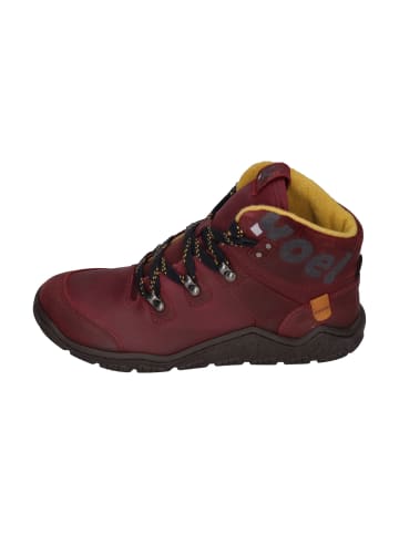 KOEL Stiefeletten ROBA MERINO in rot