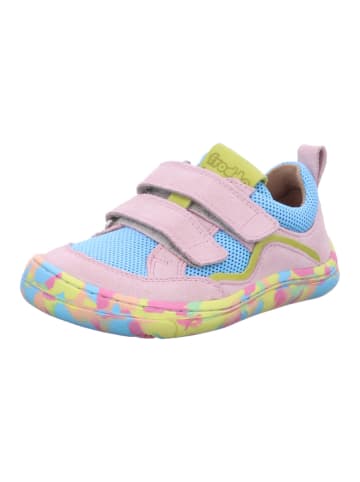 Froddo Halbschuhe Kinder Barefoot Base in Bunt