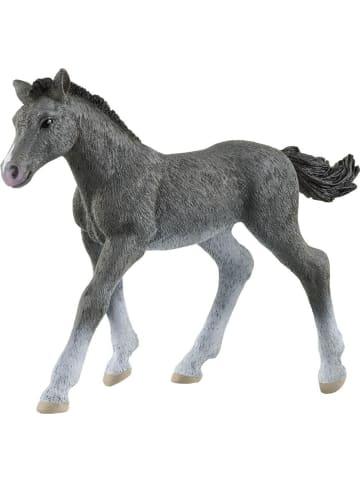 Schleich Trakehner Fohlen in Mehrfarbig ab 5 Jahre