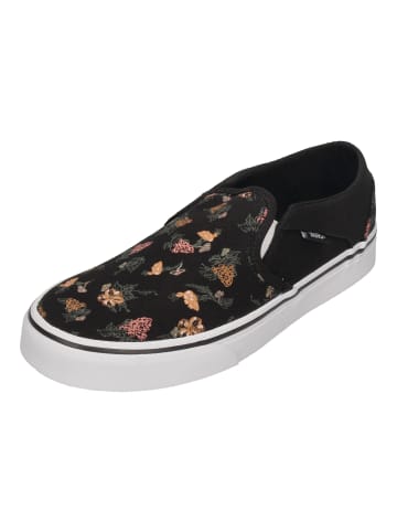 Vans Sneaker Low ASHER GARDEN FLORAL in bunt