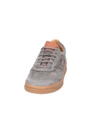El Naturalista Sportlicher Schnürschuh in grau
