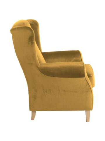 58 aufm Kessel OHRENSESSEL Karlen Bezug Samtvelours Buche natur / mais