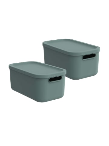Rotho Albula Light Kiste 12l mit Deckel in Mistletoe green