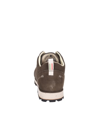 DOLOMITE Wanderschuhe in braun