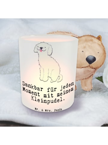 Mr. & Mrs. Panda Windlicht Kleinpudel Moment mit Spruch in Transparent