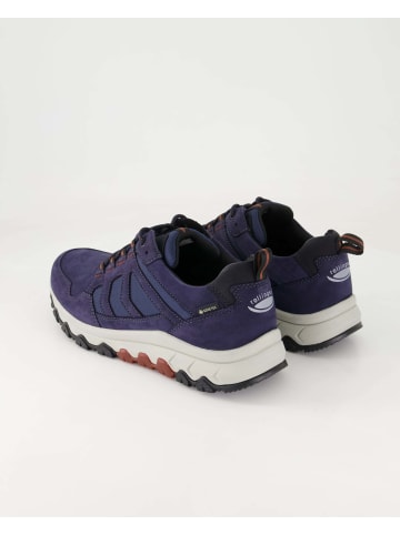 Pius Gabor Sportliche Schnürschuhe in Blau