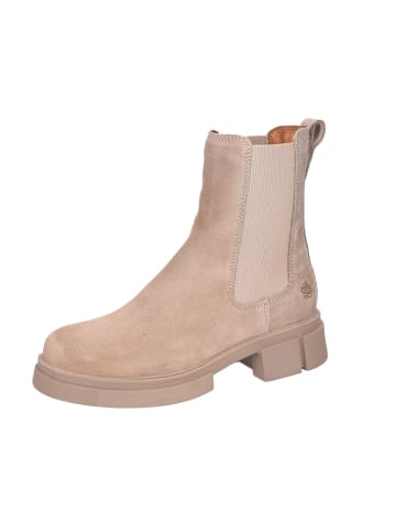 Apple of Eden Stiefeletten  Bis in beige