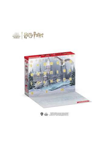 Schleich Adventskalender Wizarding World Harry Potter Mini Figuren Serie 1, ab 6 Jahre
