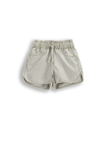 Coccodrillo Jeansshorts in olivgrün