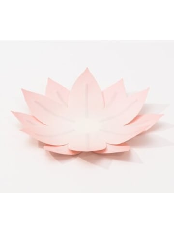 Hetzer-Gruppe Nonbook - Flexible Hanji-Papierschale Wasserlilie Blassrosa