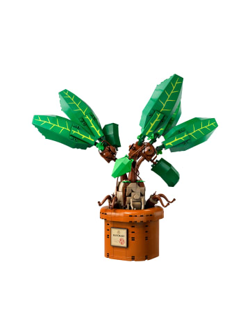 LEGO Harry Potter 76433 Zaubertrankpflanze: Alraune