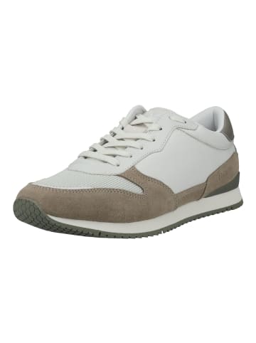 LLOYD Sneaker in Taupe