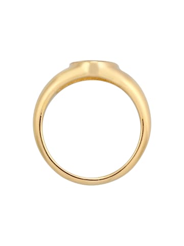 Elli Ring 925 Sterling Silber Kirsche, Siegelring in Gold
